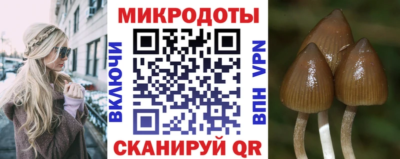 Купить где  Кстово  Псилоцибиновые грибы ЛСД 